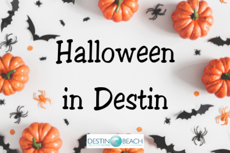 Halloween Events in Destin Destin Beach Vacation Rentals